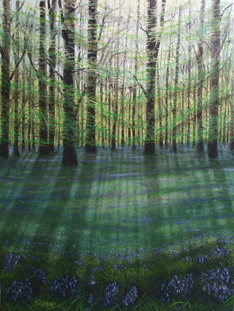 Bluebell Wood no3