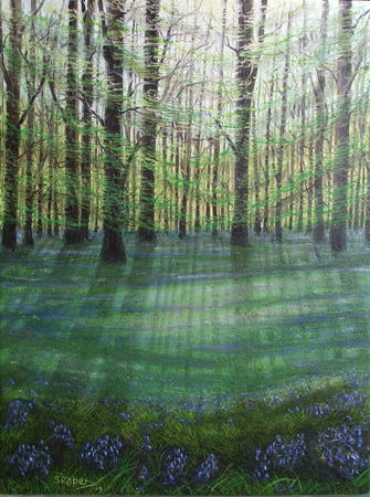 Bluebell Wood 3