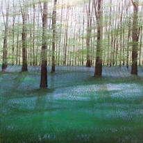 Bluebell Wood