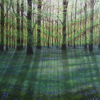 Bluebell Wood no3