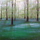 Bluebell Wood