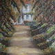 Garden Path