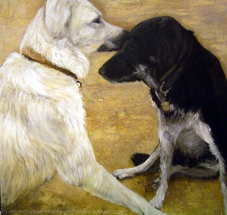 dogs