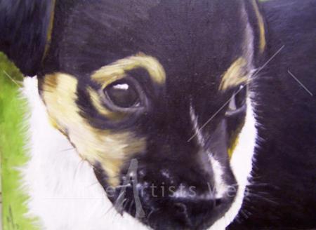 dog