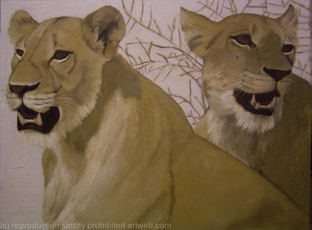 lions