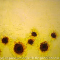 hidden sunflowers