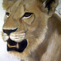 hidden lions