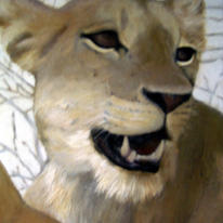 hidden lioness