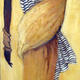stripe shawl1