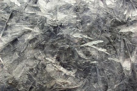 Harbour Ice