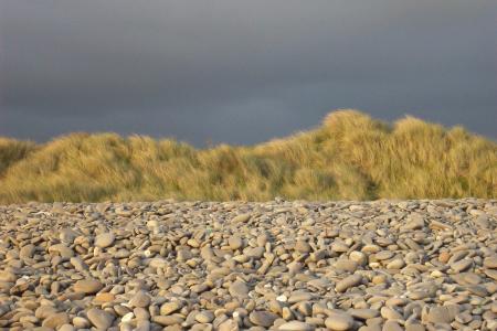 Ynyslas Dunes 1