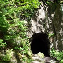 Dolgoch Cave 