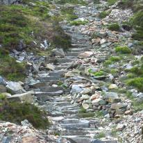 Cadair Stairs