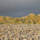 Ynyslas Dunes 1