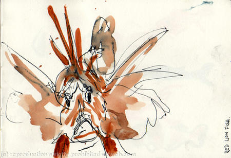lion fish