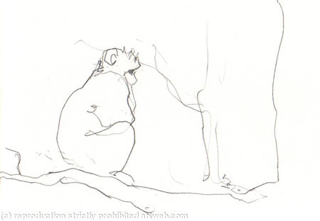 monkey forest 2
