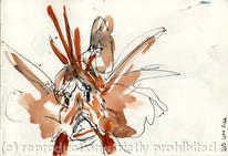 lion fish