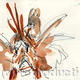 lion fish
