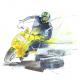 moped