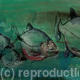 piranha