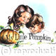 my little pumpkin