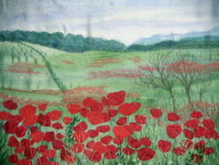 Poppies In The Vale