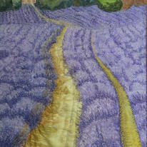 Lavender In Provence