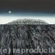 Blue Moon II