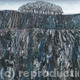 The Copse