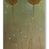 'Golden Tulips'