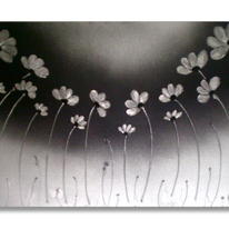 'Field of silver'