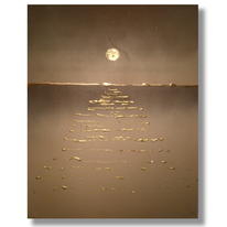 Shimmer of Gold