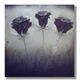 Purple Roses