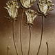 Four Golden Roses