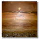 Copper Sunset
