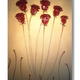 Seven Red Roses