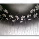 'Field of silver'