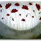 Poppy Cycle