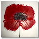 Red Poppy