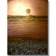 Copper Dream Sunset
