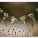 Six Golden Roses