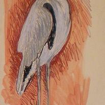 heron sketchs (3)