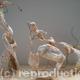 Europe Teasing Zeus… | | 61 x 41cm | wire,wire mesh,papier mache,plaster and paint Europe Teasing Zeus…