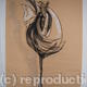 Hen on one Leg | | 61 x 84cm | charcoal & chalk on paper Hen on one Leg