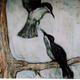 Birds with Diaphragm