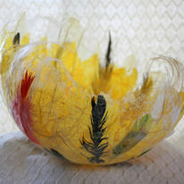hidden Birds of Paradise