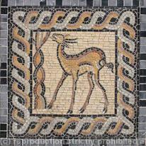 Deer 1