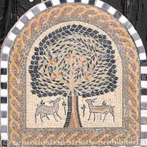 tree of Life