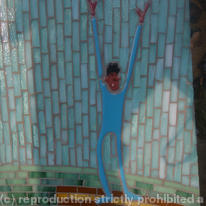 Olypic Pole Vaulter