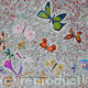 Sara's Butterfly Dance…